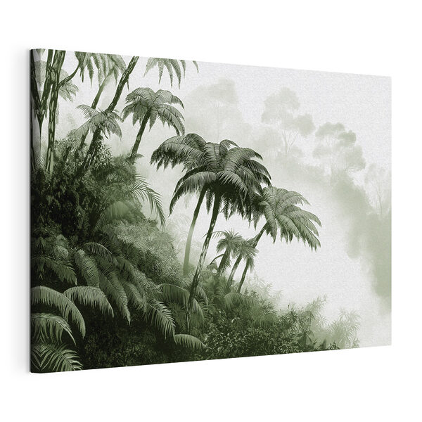 Group of palm trees in a forest Group of palm trees in a forest
