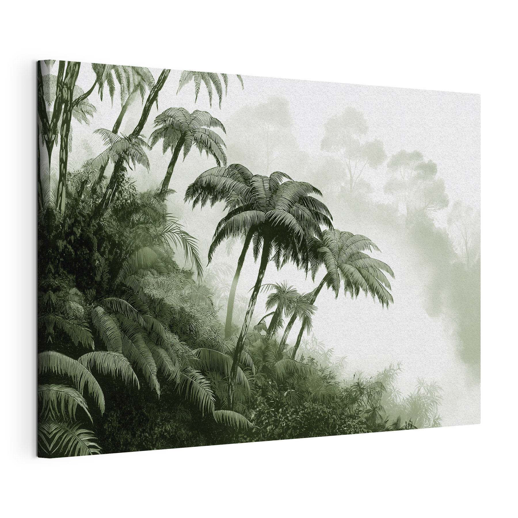 Group of palm trees in a forest Group of palm trees in a forest