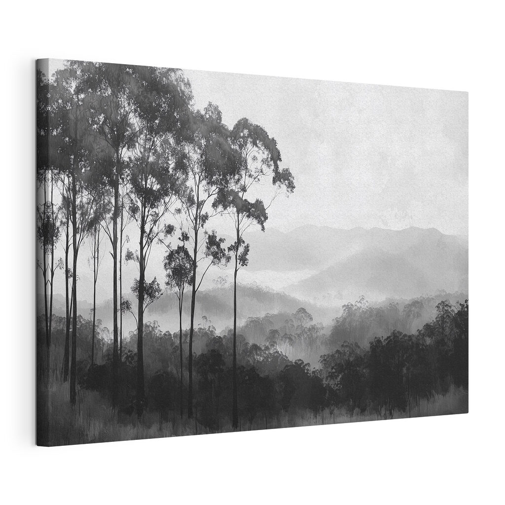 Forest with trees and mountains in the background Forest with trees and mountains in the background