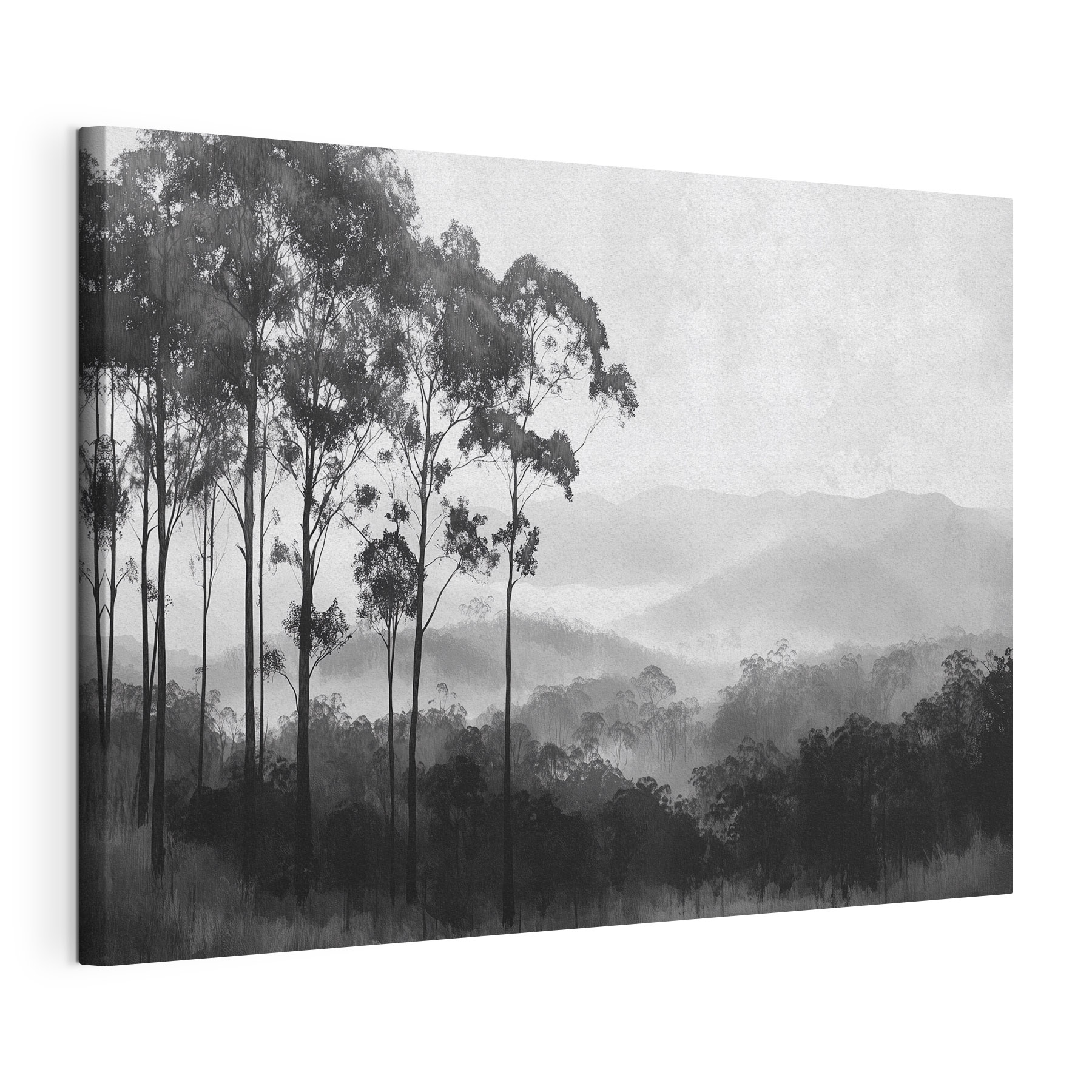 Forest with trees and mountains in the background Forest with trees and mountains in the background
