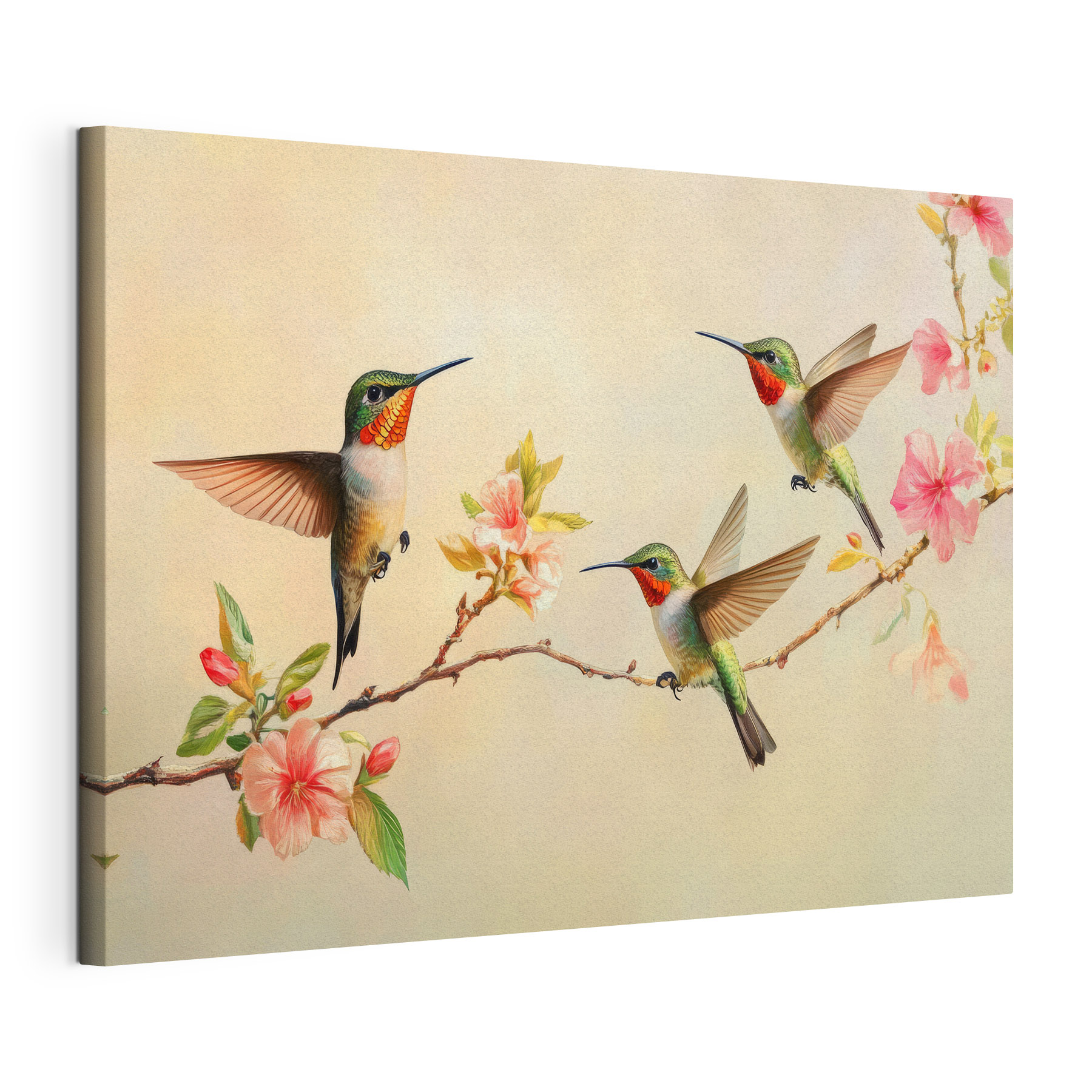 Group of hummingbirds on a branch with flowers Group of hummingbirds on a branch with flowers