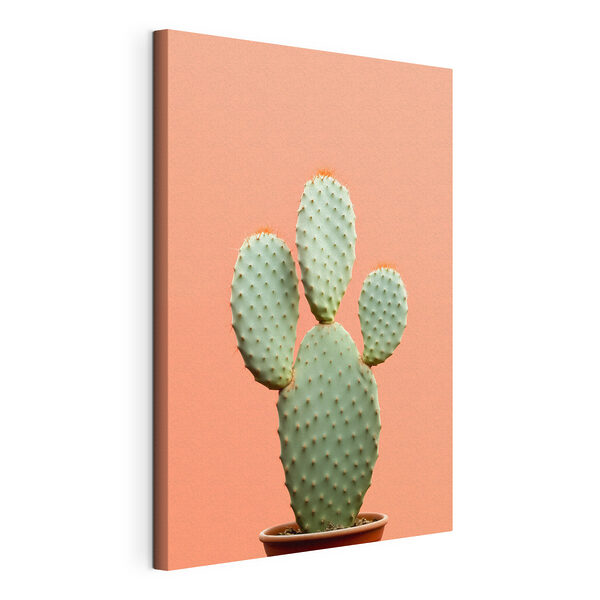 Quadri Cactus con spine rosse (COD: s42412) Quadri Quadri Cactus con spine rosse (COD: s42412)