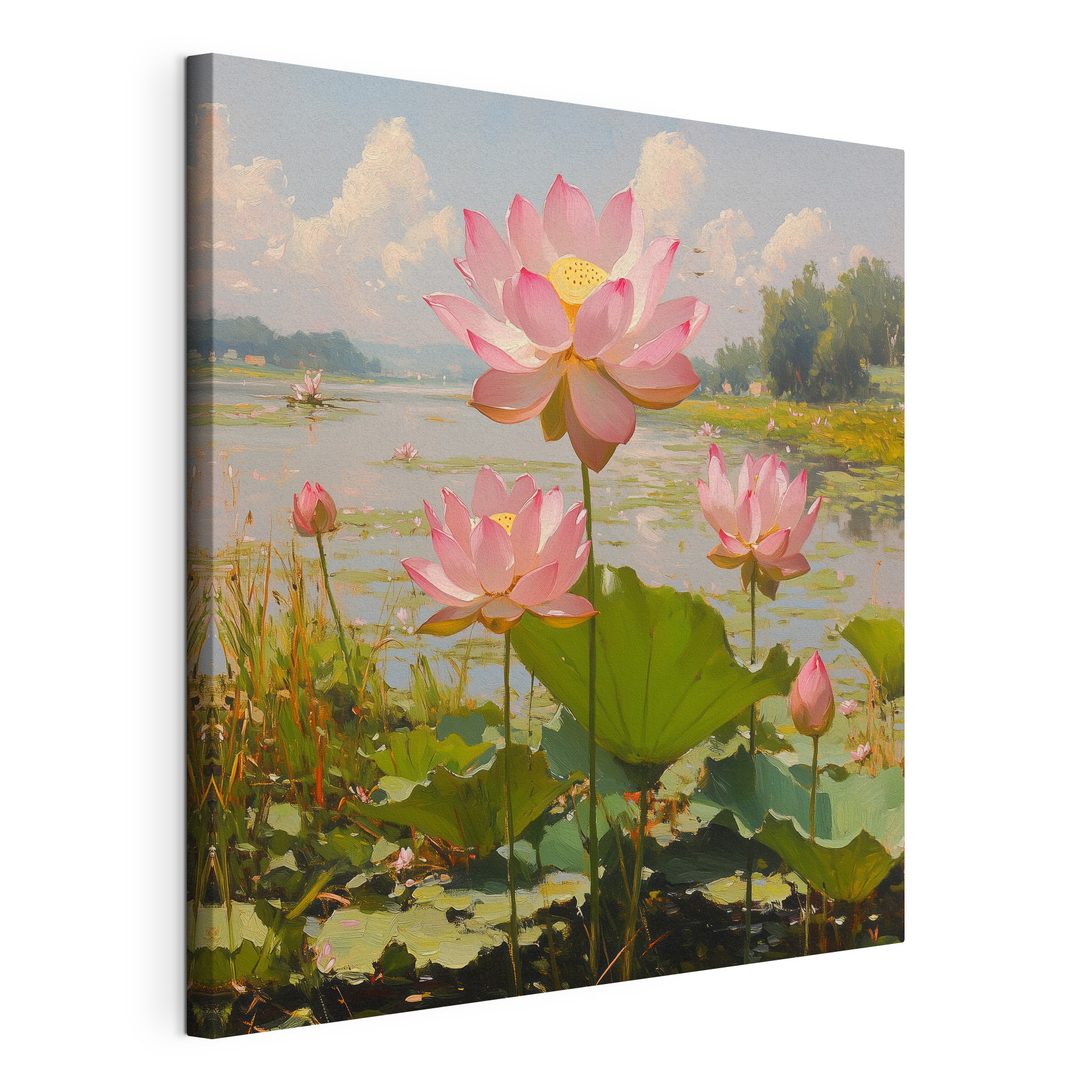 Pink flowers on a lake Pink flowers on a lake