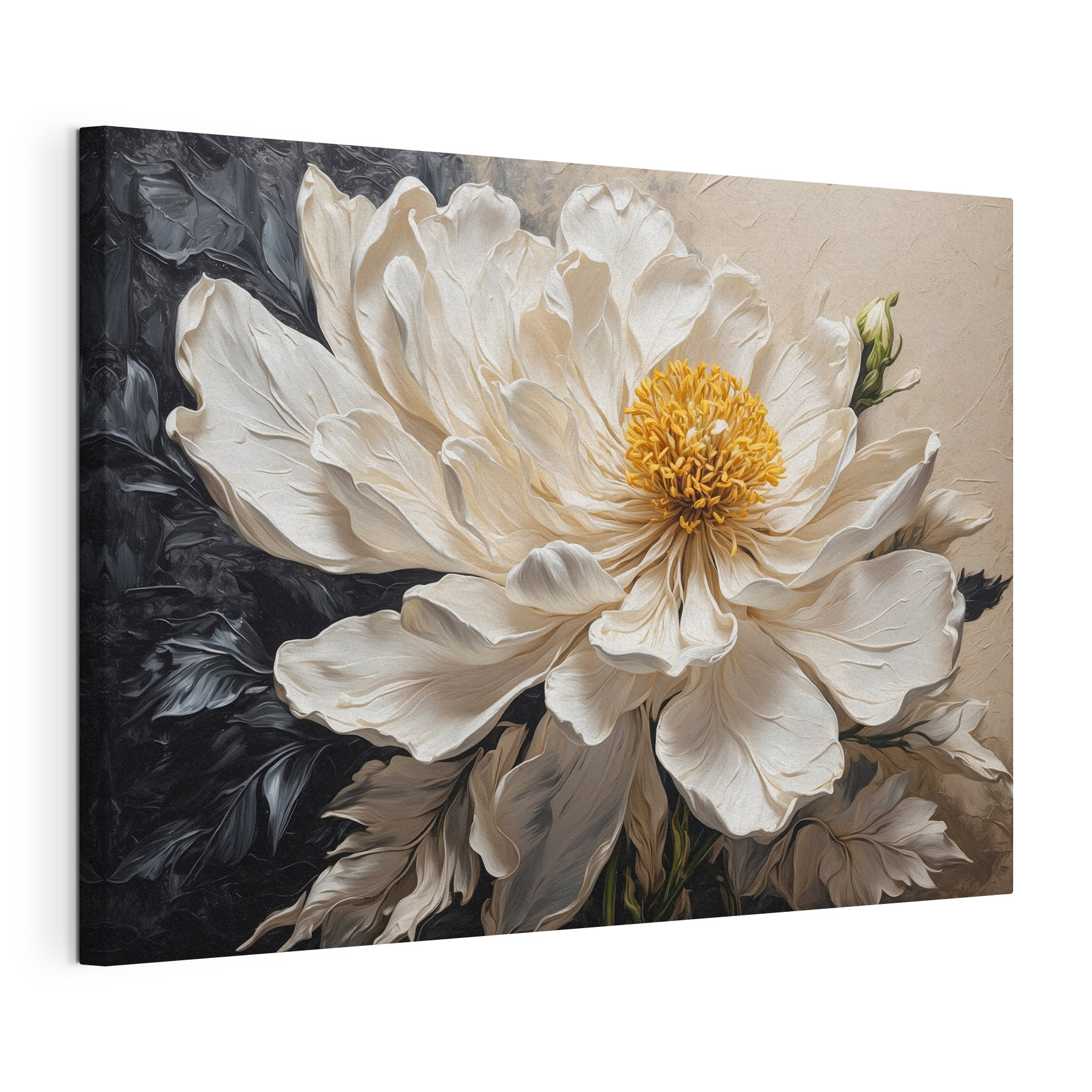 White flower with yellow center