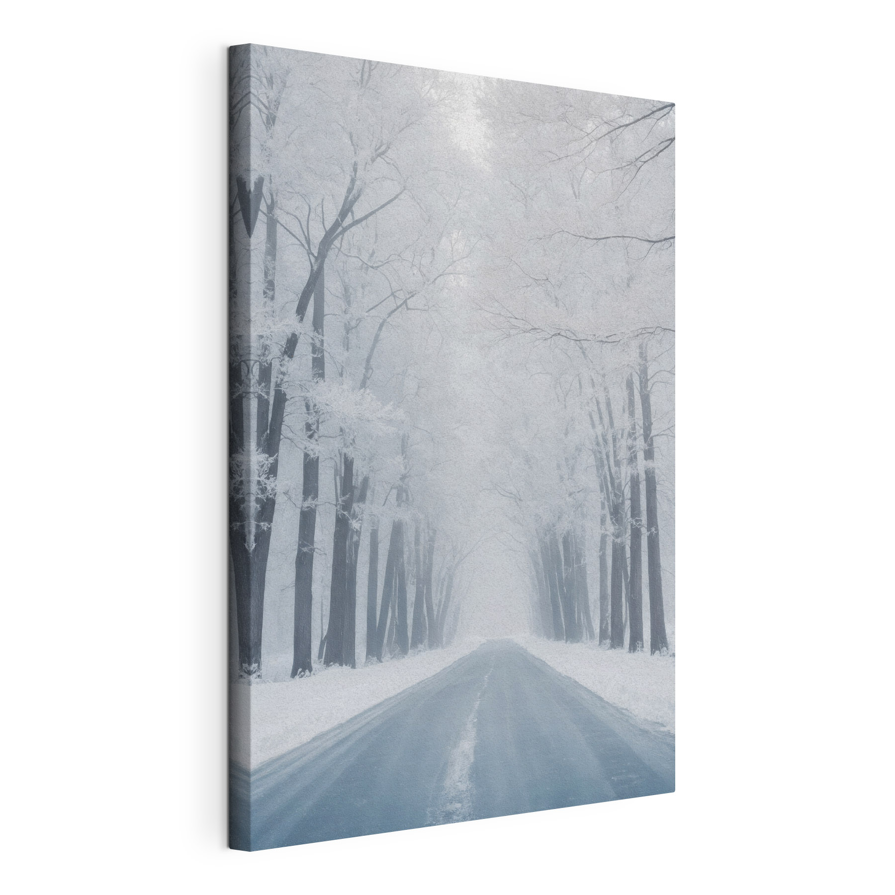 Road with snow covered trees Road with snow covered trees