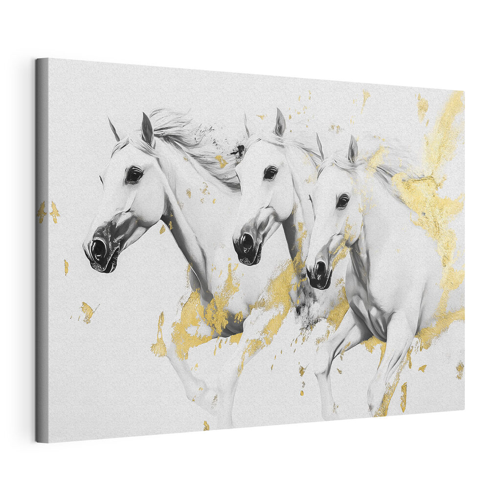 Group of white horses running Group of white horses running
