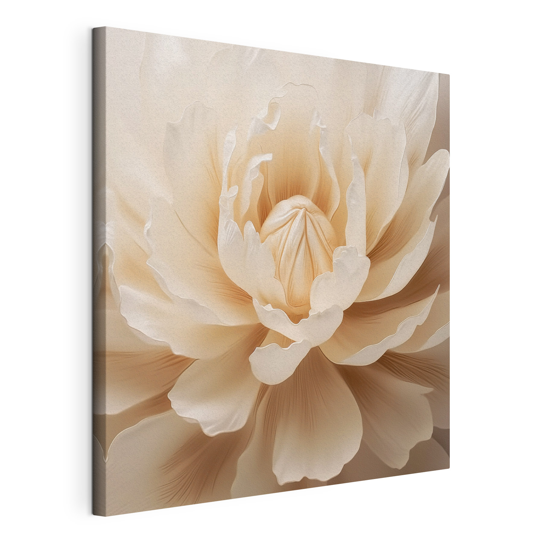 Delicate petals in soft hues