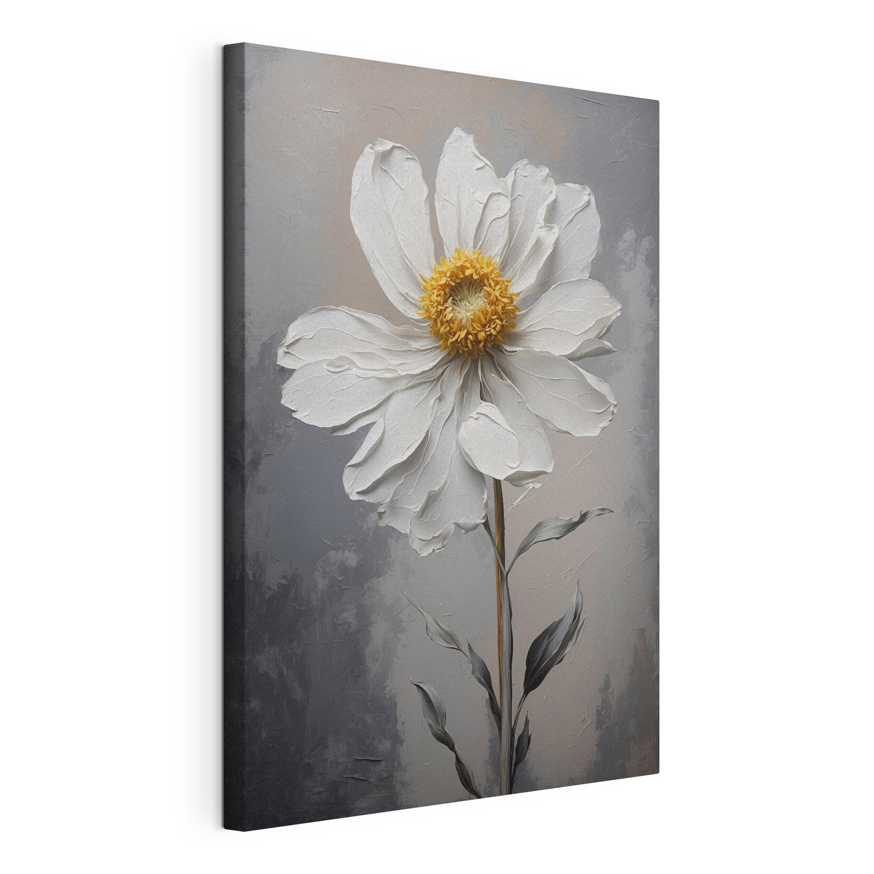 White flower with a yellow center White flower with a yellow center