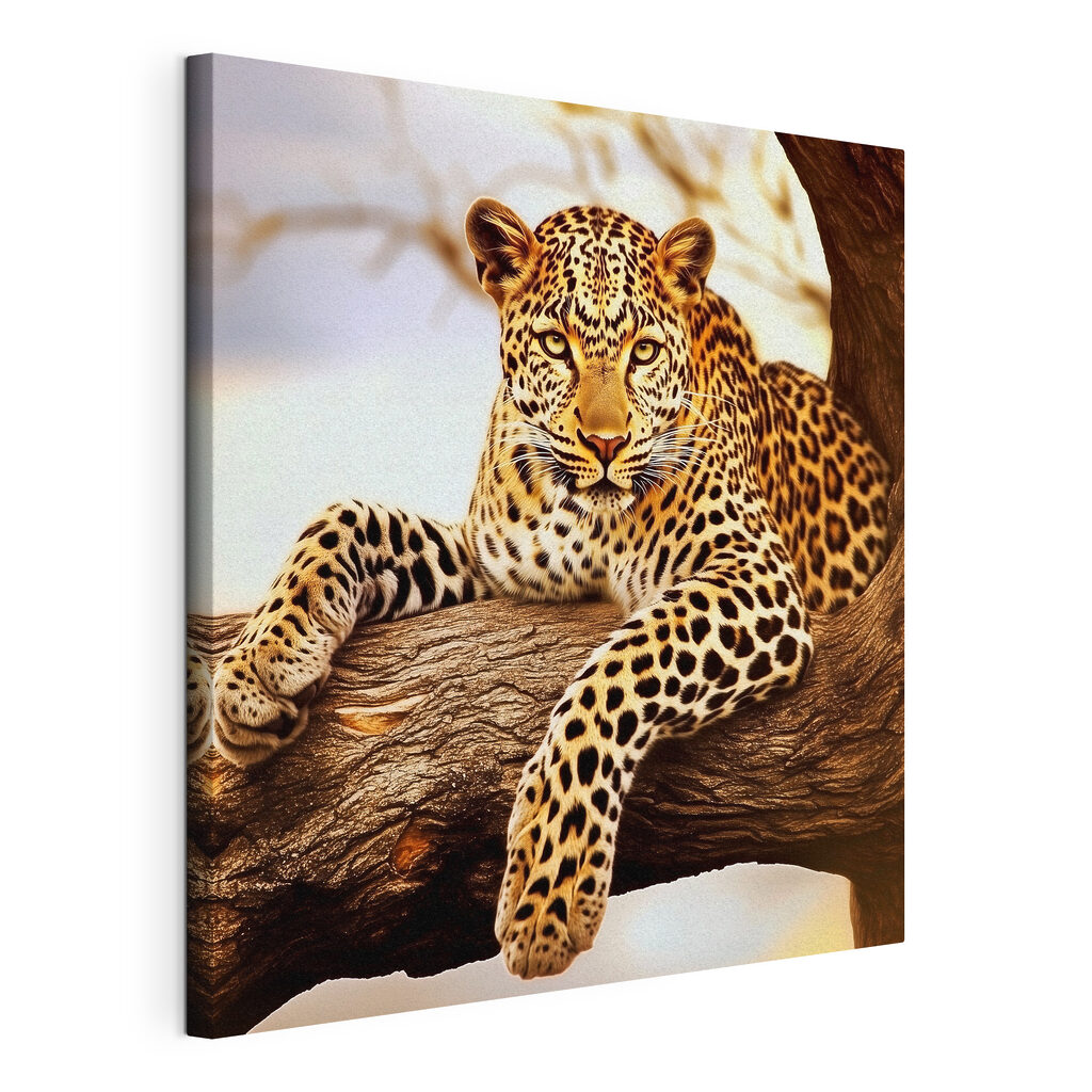 Leopard lying on a tree branch Leopard lying on a tree branch