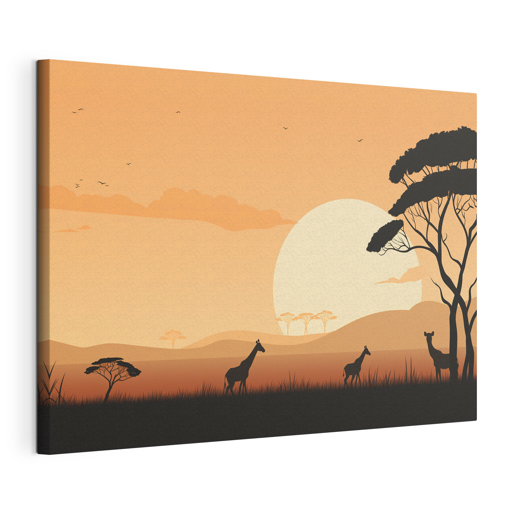 Giraffes walking in a grassy field with trees and a sunset Giraffes walking in a grassy field with trees and a sunset