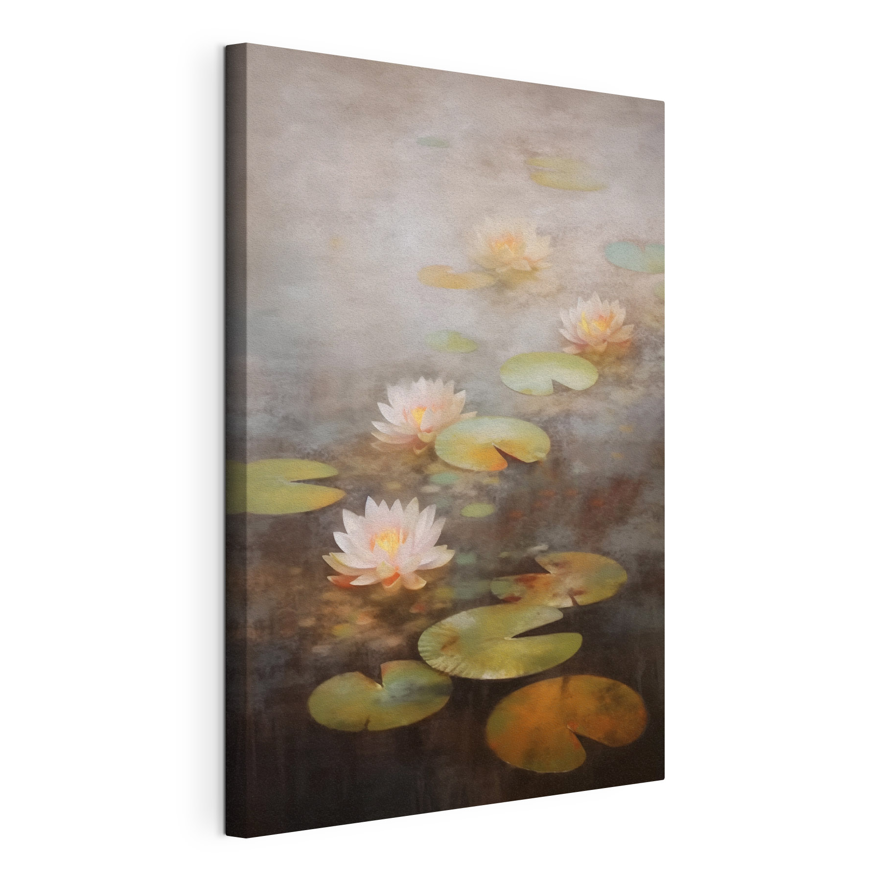 Water lily flowers and lily pads Water lily flowers and lily pads
