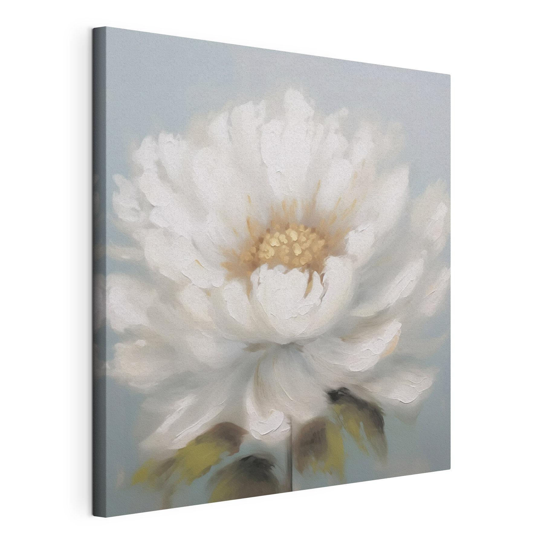 White flower with yellow center