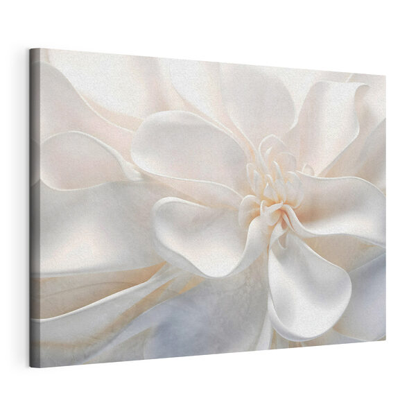Quadri Quadri Delicati strati di bellezza floreale (COD: s43161)