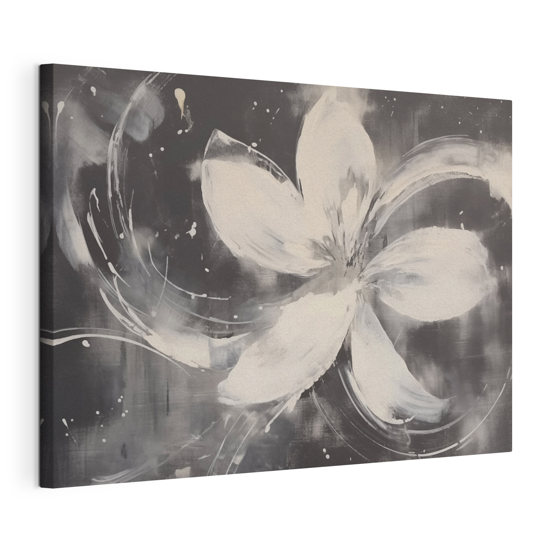 White flower on a black background White flower on a black background