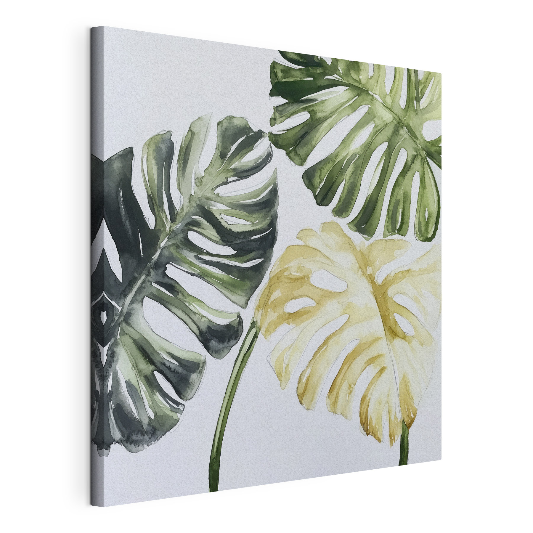 Group of leaves on a white background Group of leaves on a white background