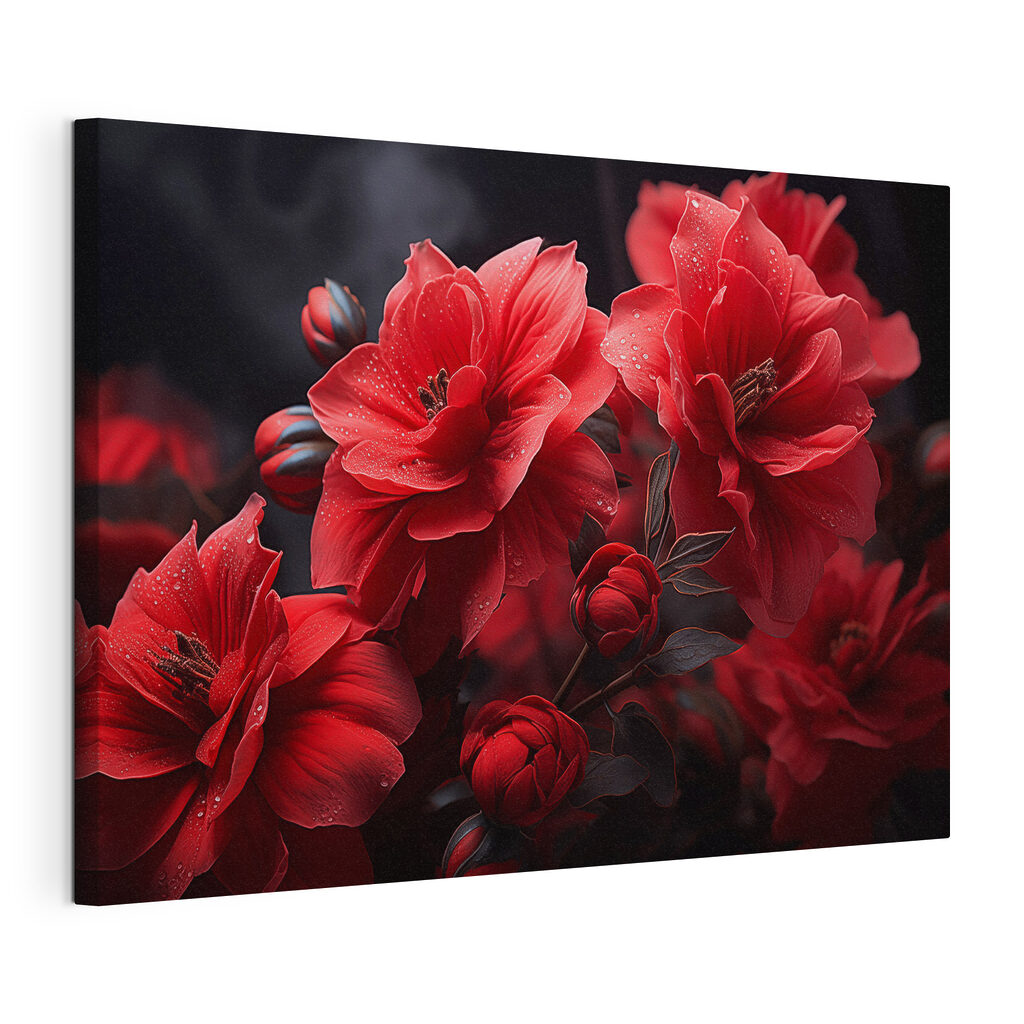 Group of red flowers Group of red flowers