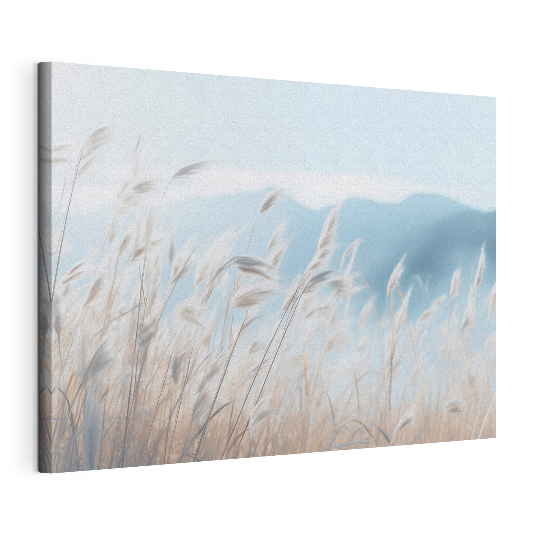 Gentle breezes through tall grass