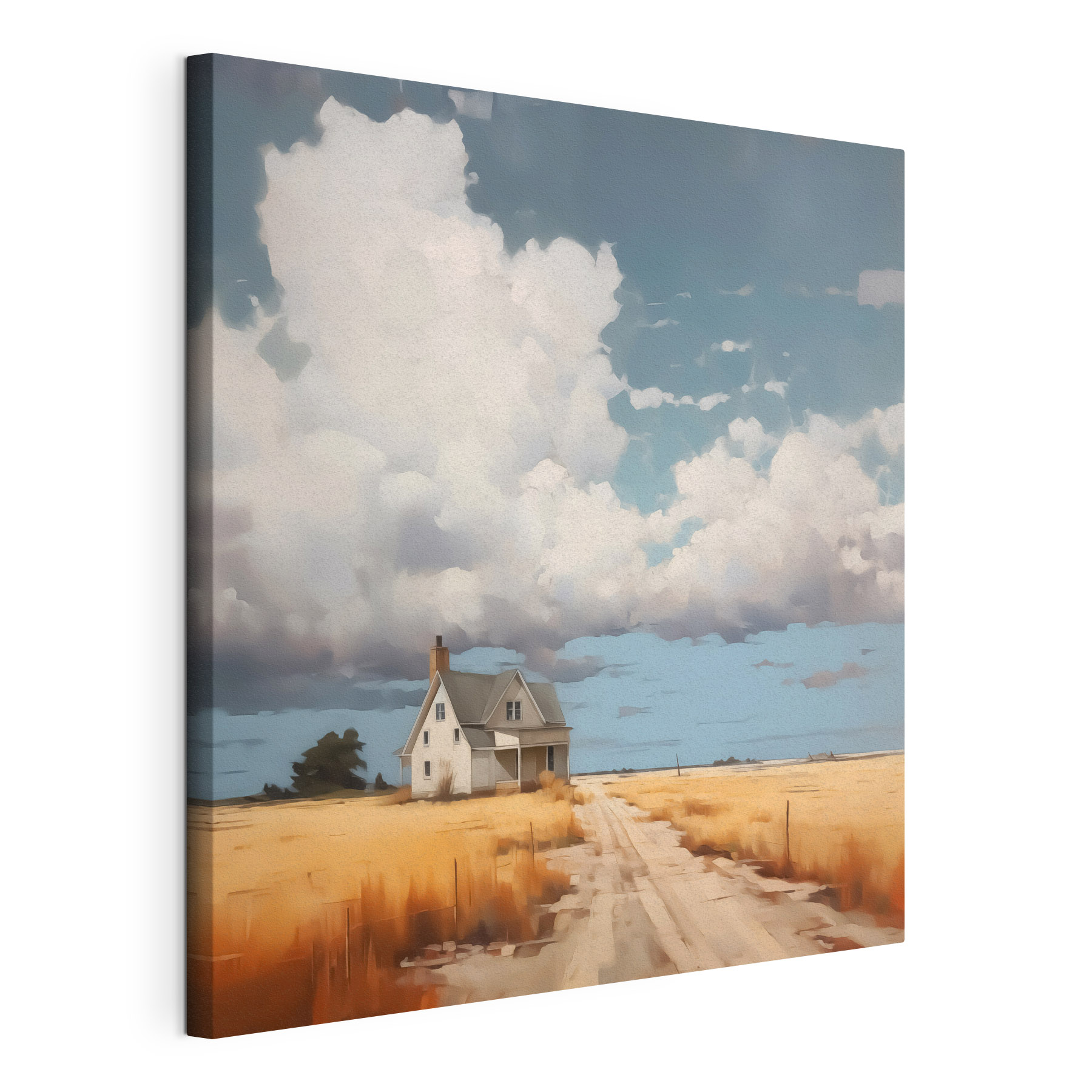 House in a field