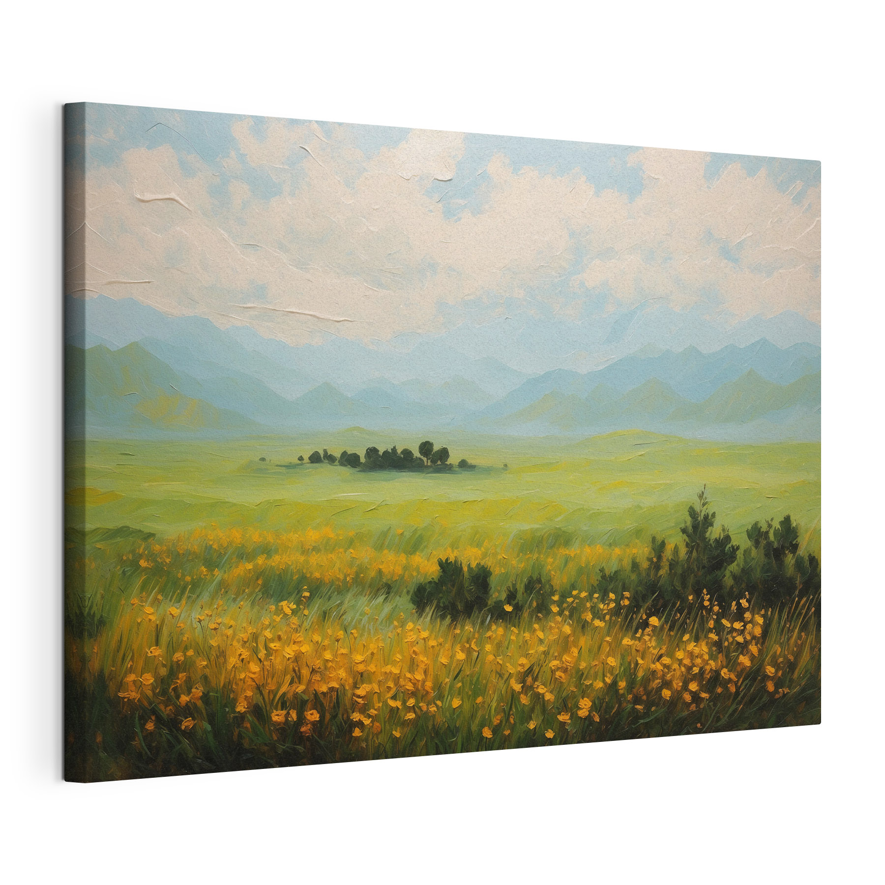 Field of flowers and mountains Field of flowers and mountains