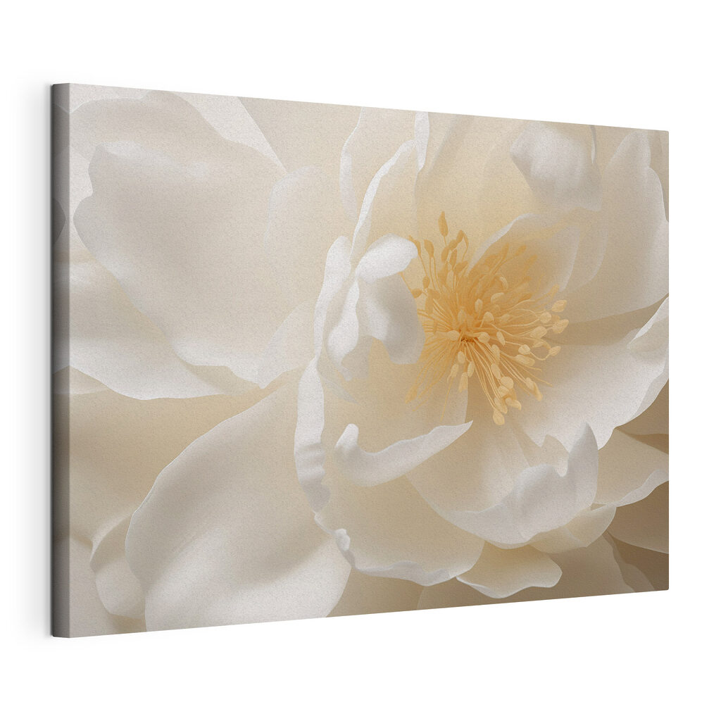 Delicate petals in soft hues