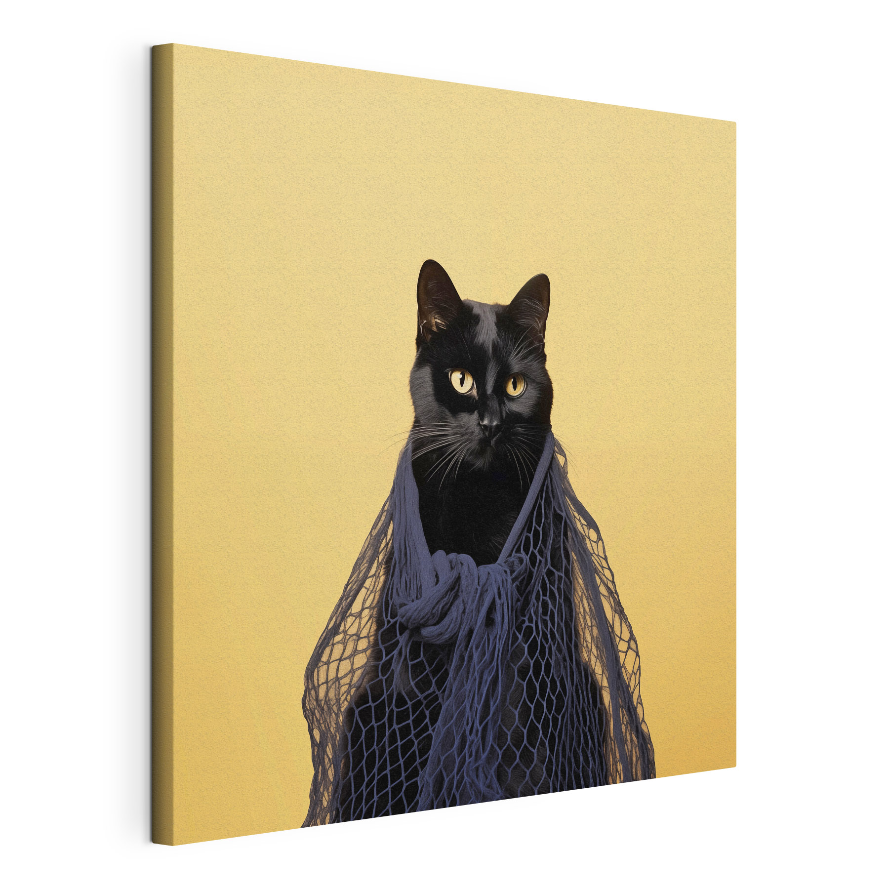 Cat wearing a net