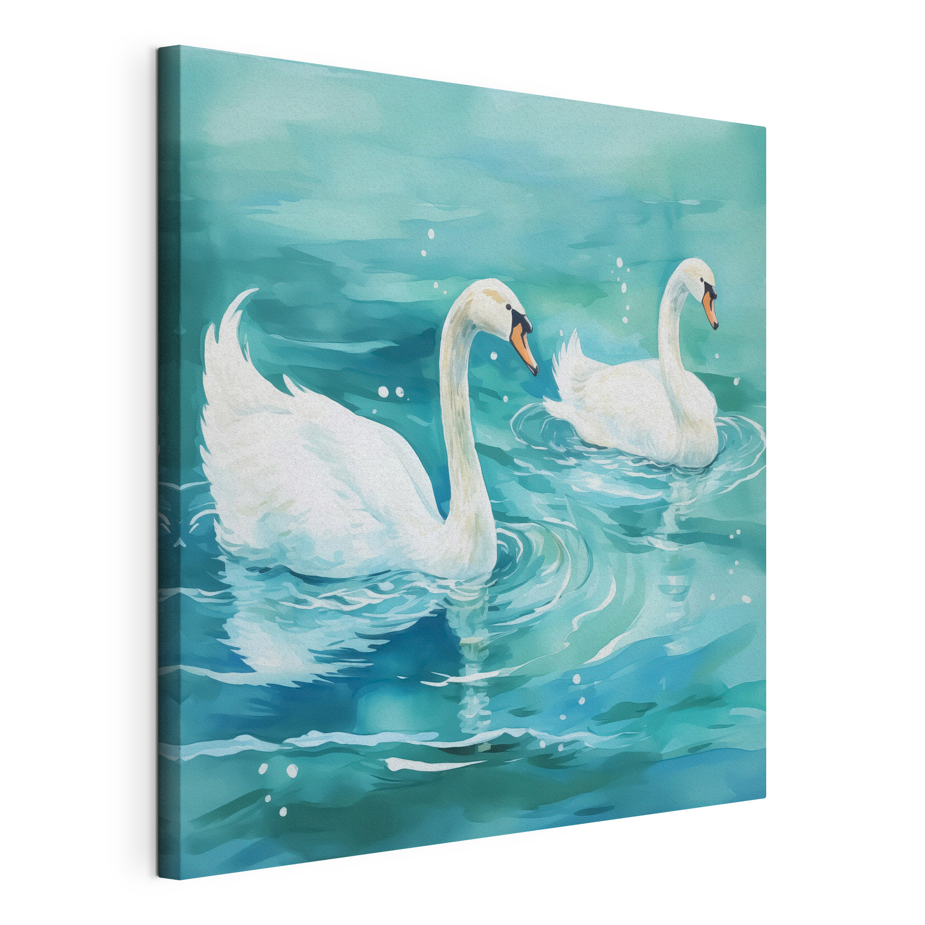 Two swans swimming in water Two swans swimming in water