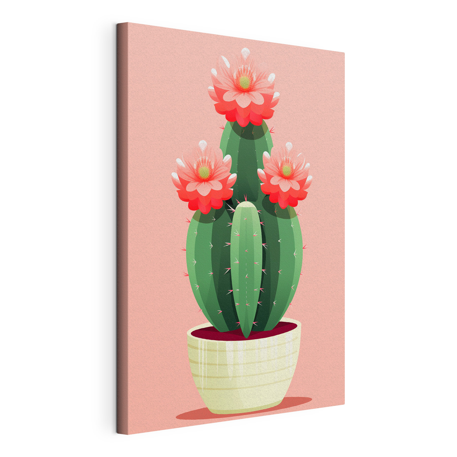 Cactus with pink flowers Cactus with pink flowers