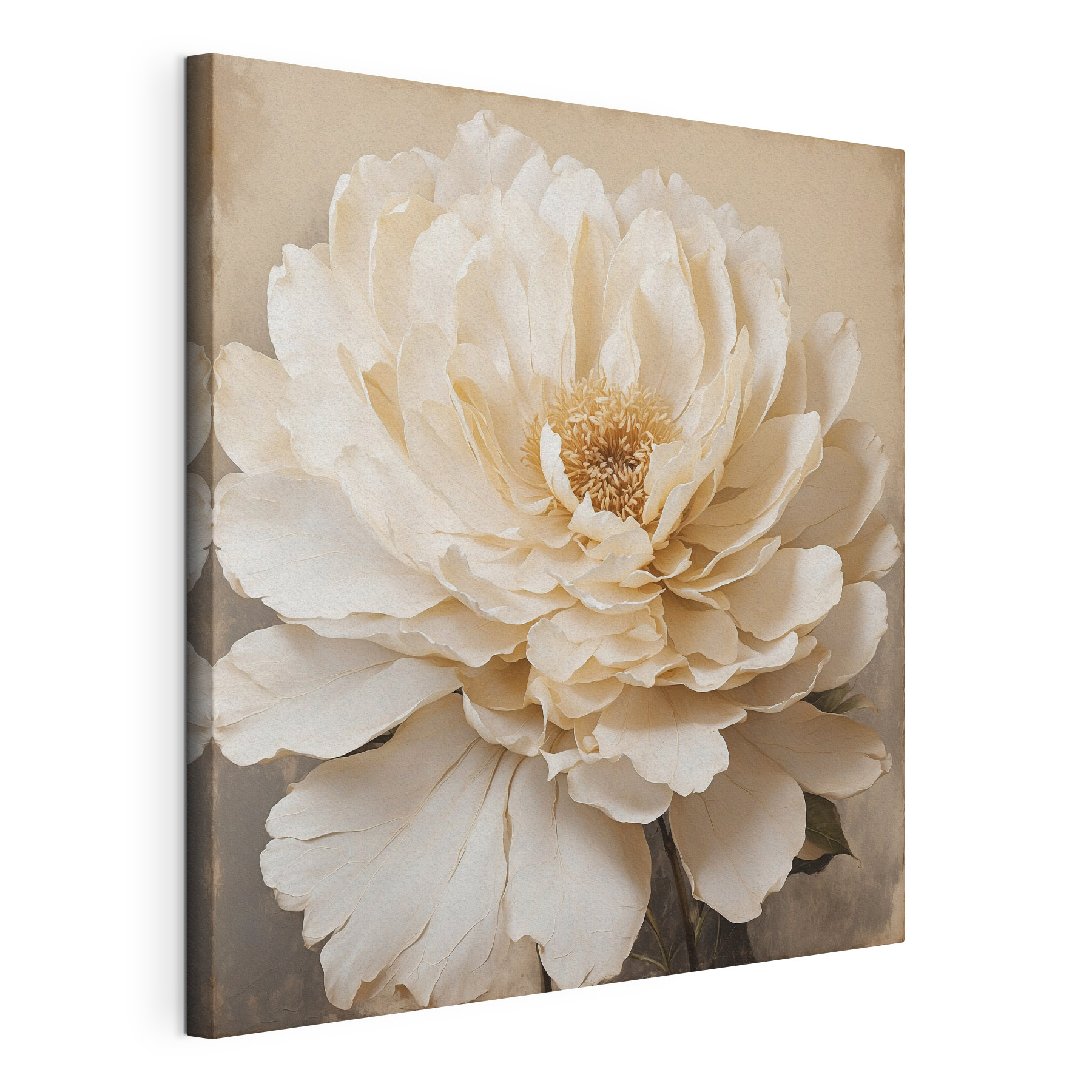 Beautiful bloom in soft hues