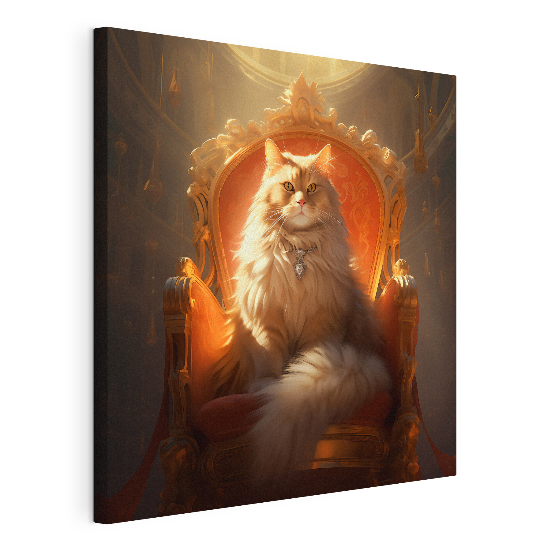 Cat sitting in a chair