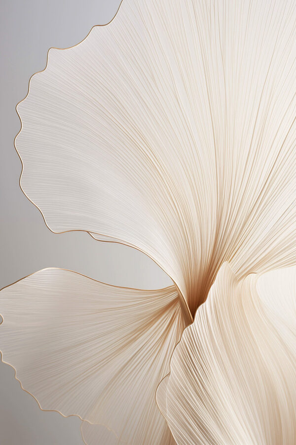 Delicate curves and flowing lines