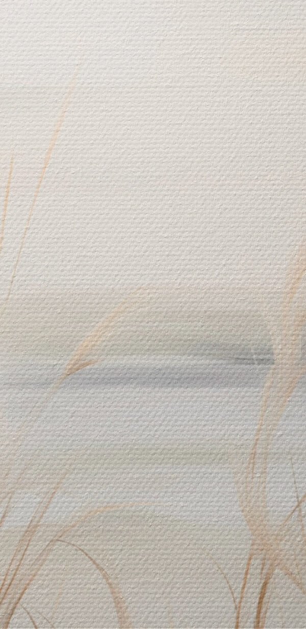 - Serene landscape with soft grasses