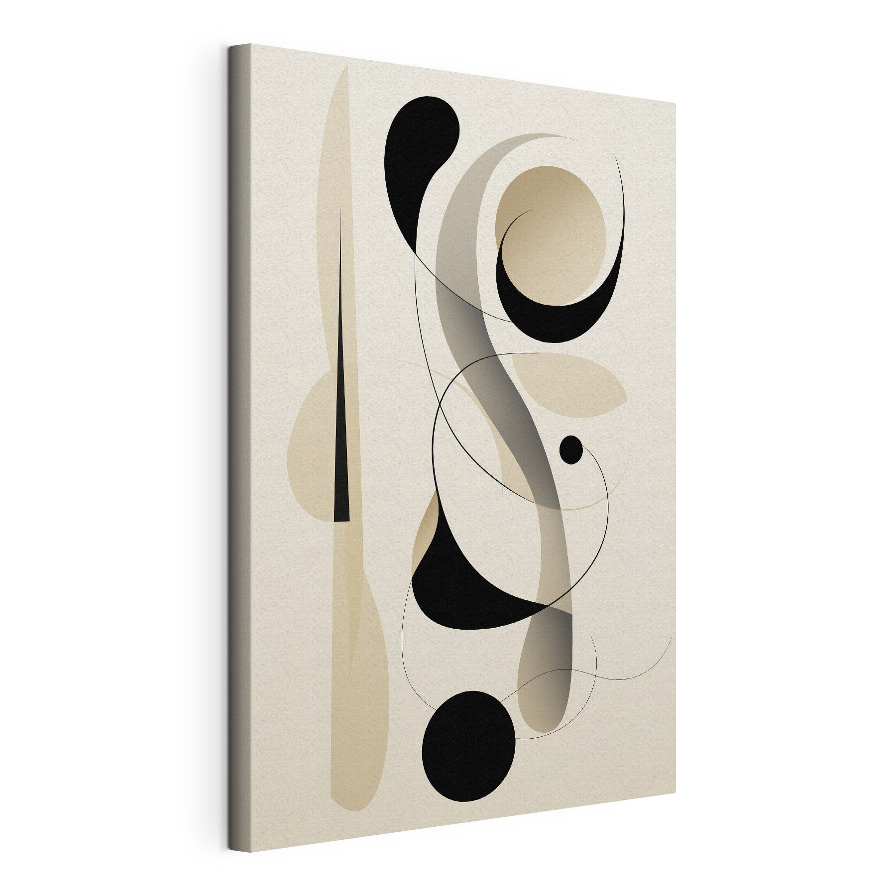 Black and white swirls and circles Black and white swirls and circles