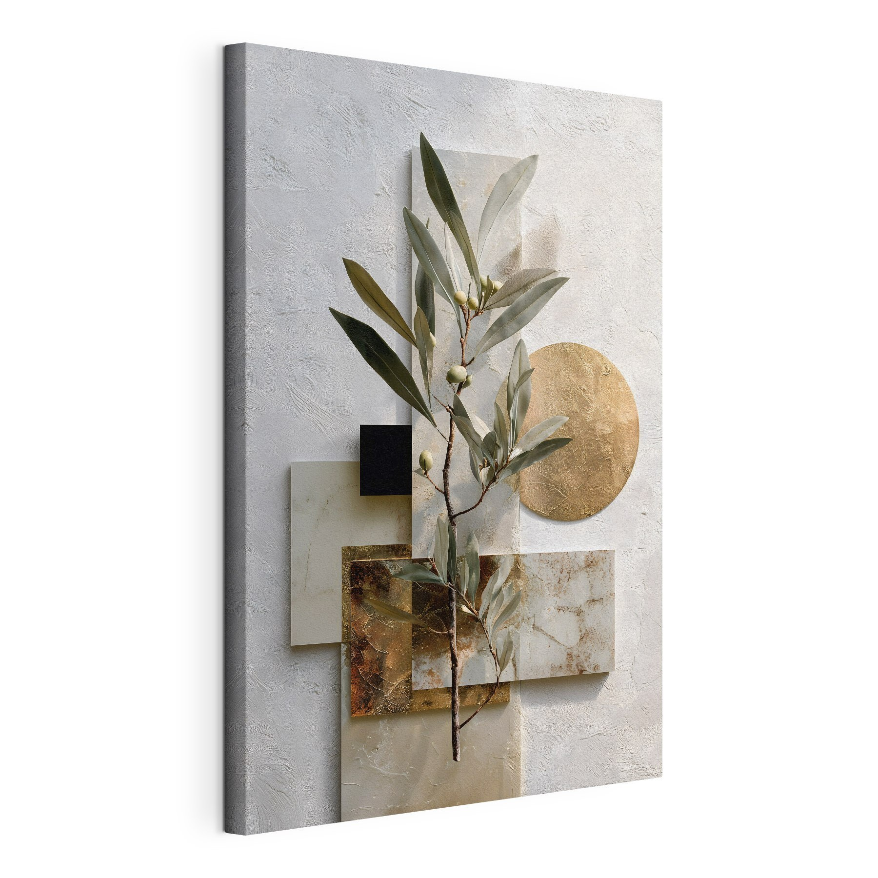 Plant with leaves and geometric shapes