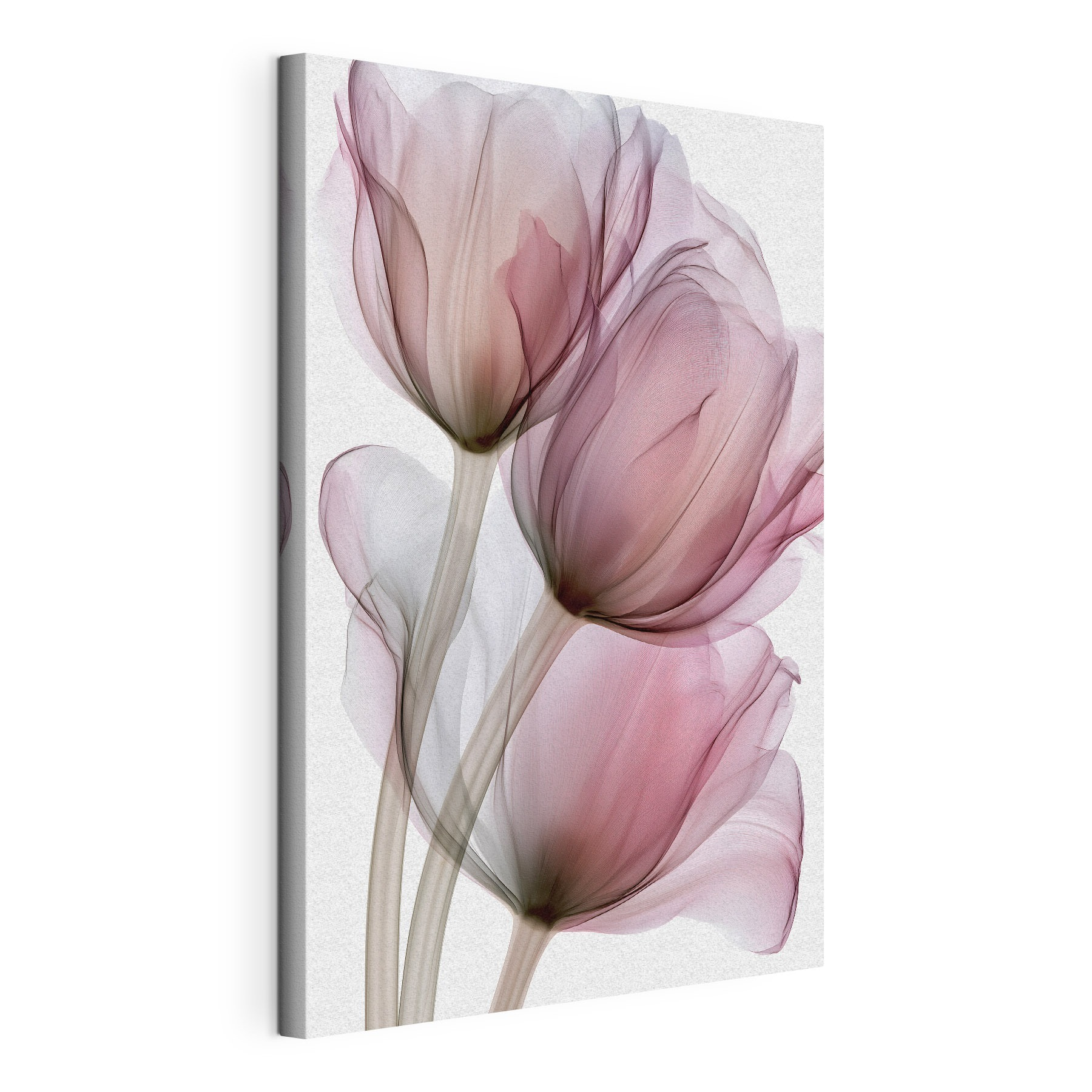 Delicate petals dancing in soft hues Delicate petals dancing in soft hues