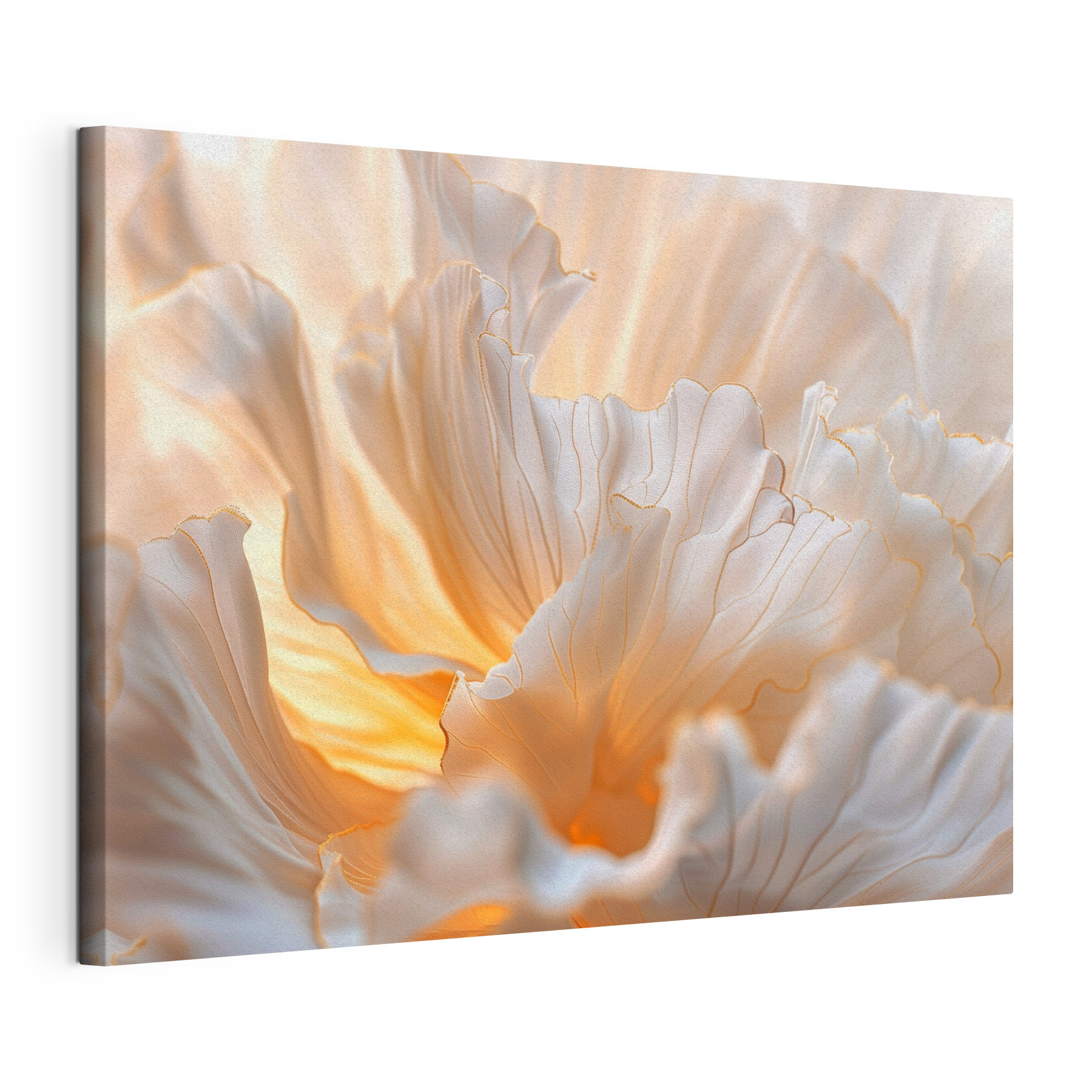 Delicate petals in soft colors