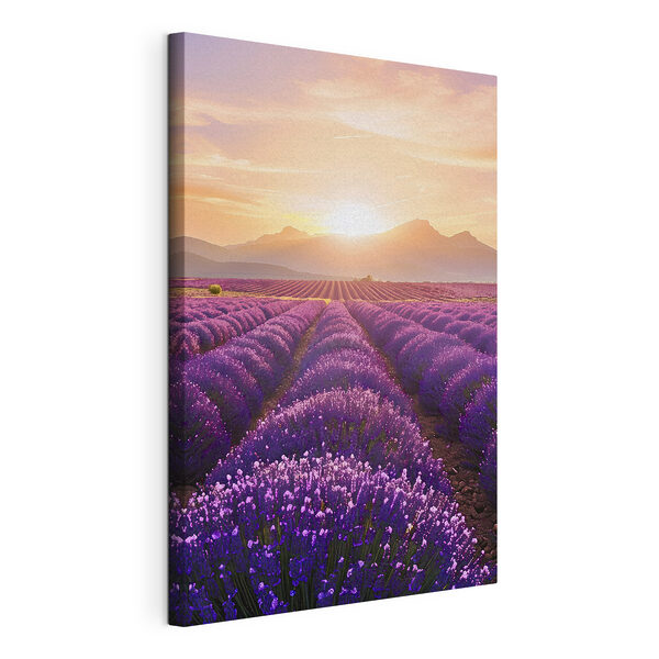 Field of lavender with mountains in the background