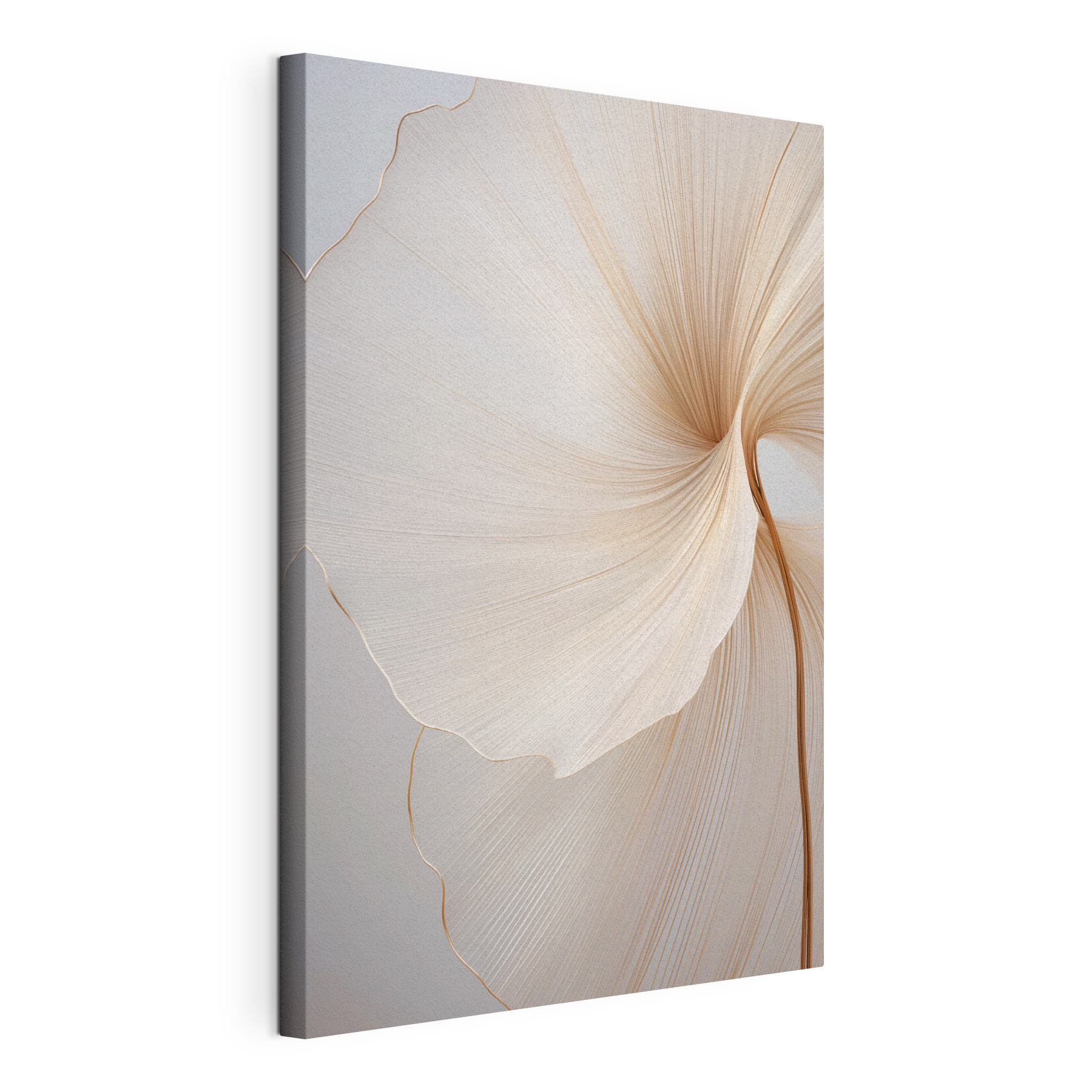 Delicate curves in soft tones Delicate curves in soft tones