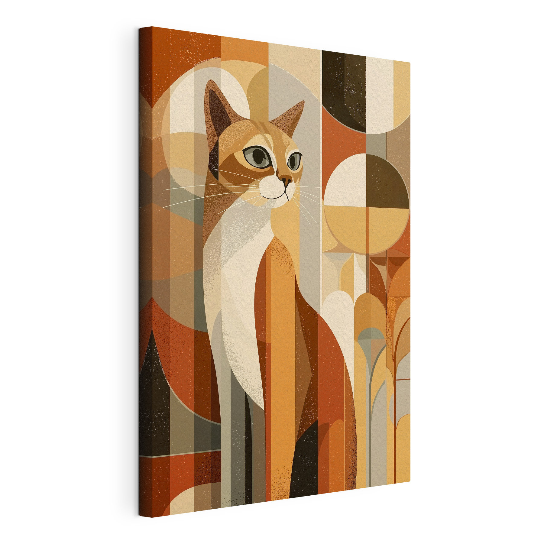 Cat with a colorful background