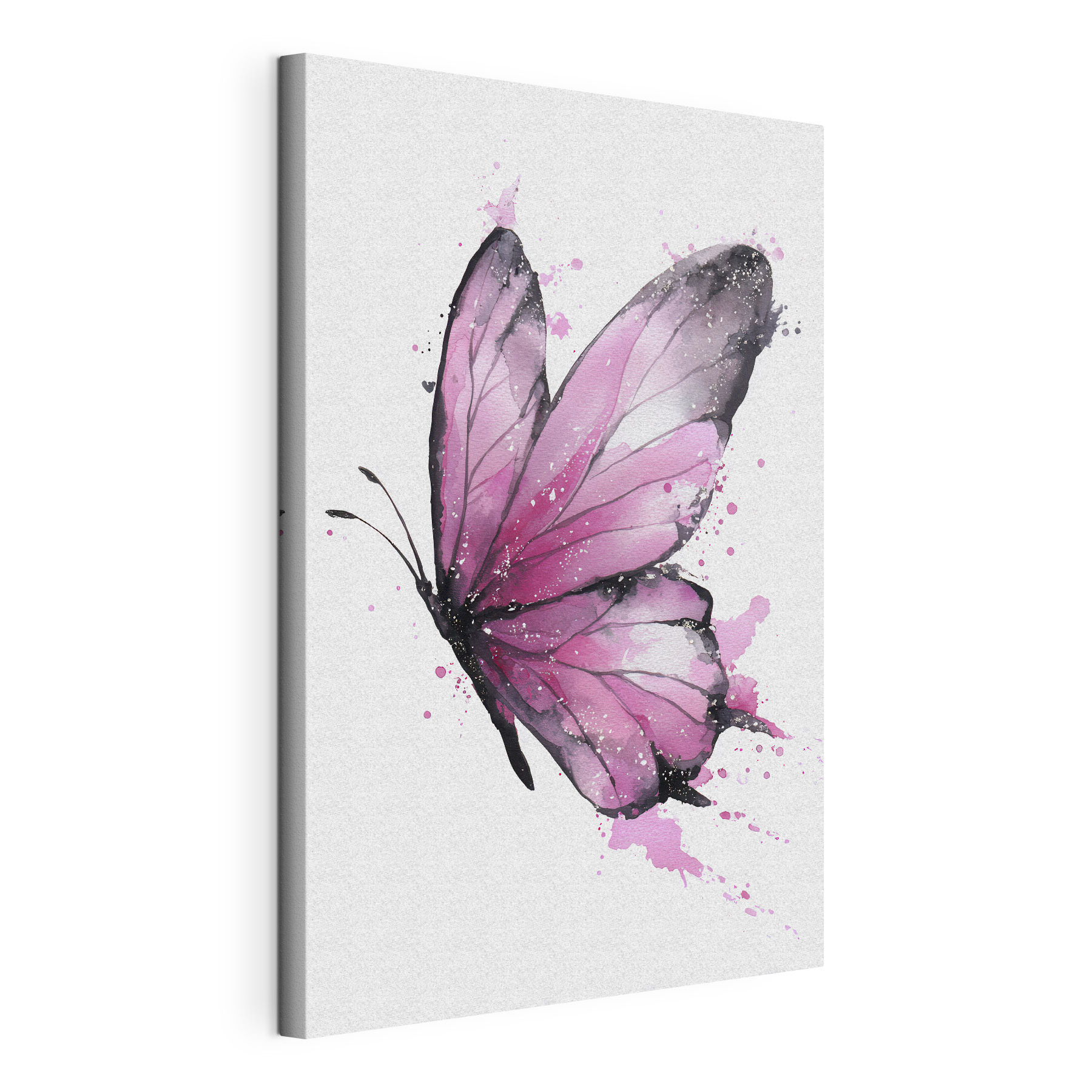 Pink butterfly with black wings