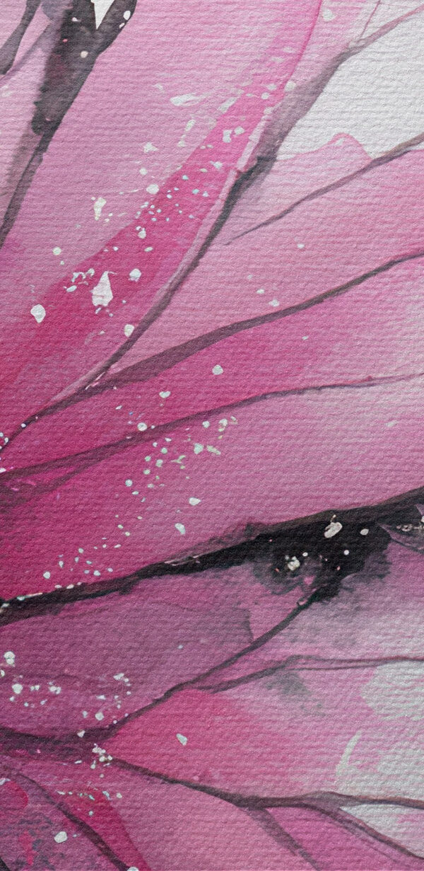 Pink butterfly with black wings