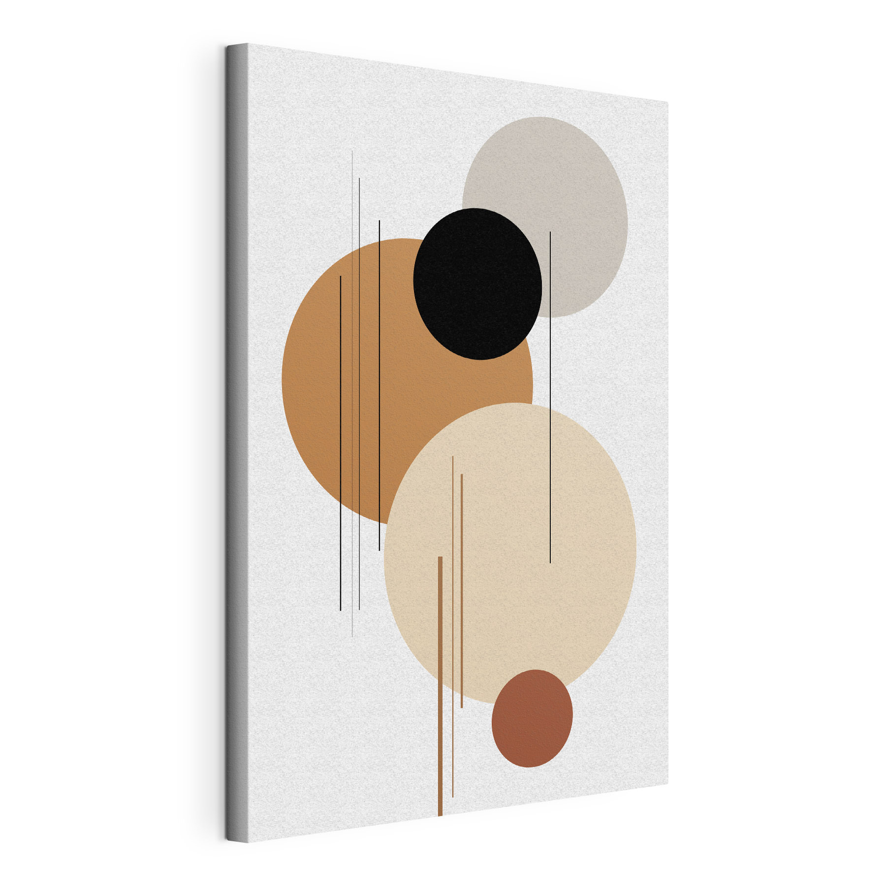 Group of circles with different colors