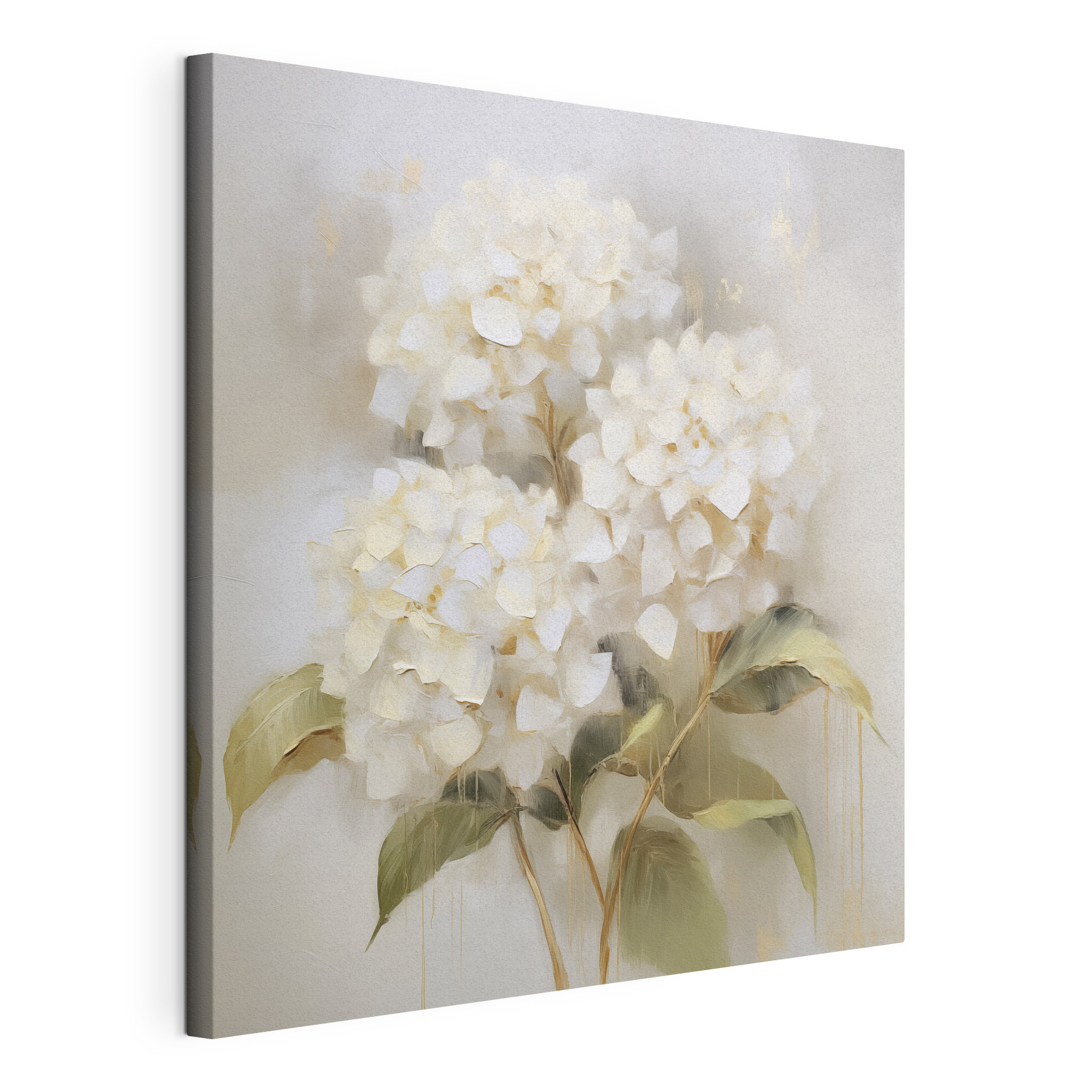 Painting of white flowers Painting of white flowers