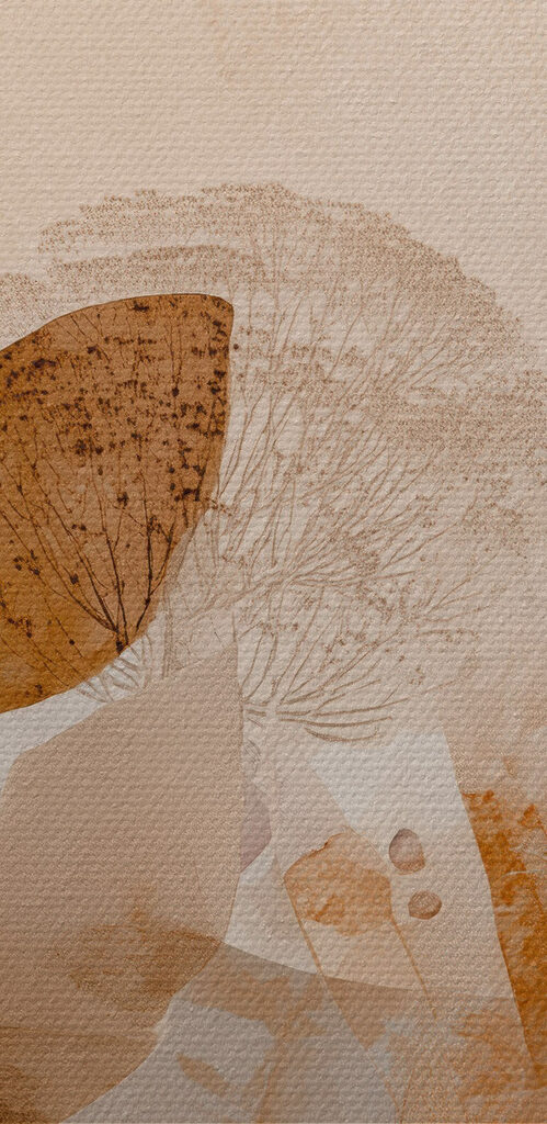 Soft hues of nature's beauty Soft hues of nature's beauty