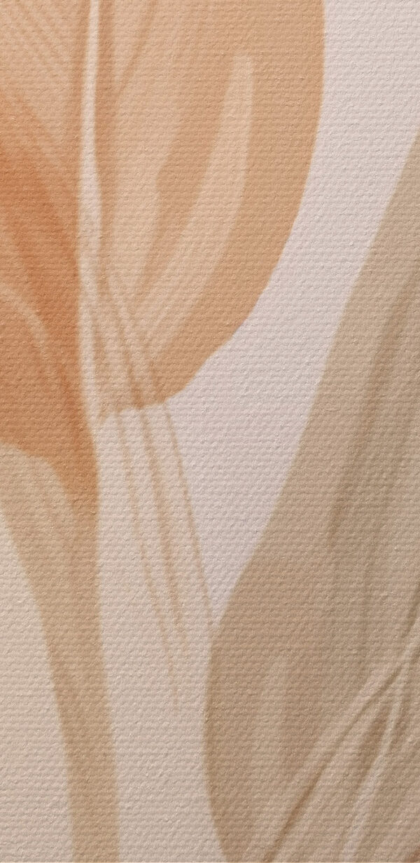 Soft hues of delicate leaves Soft hues of delicate leaves