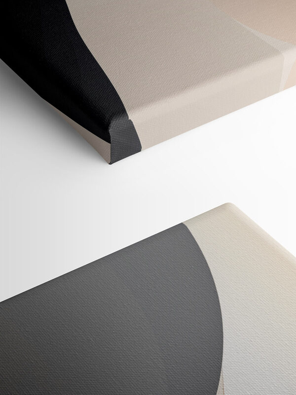 - Soft curves in gentle hues - Soft curves in gentle hues