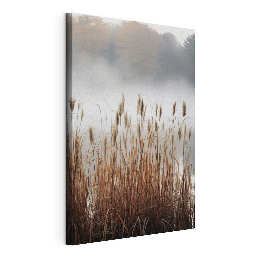 Tall grass with fog in the background Tall grass with fog in the background