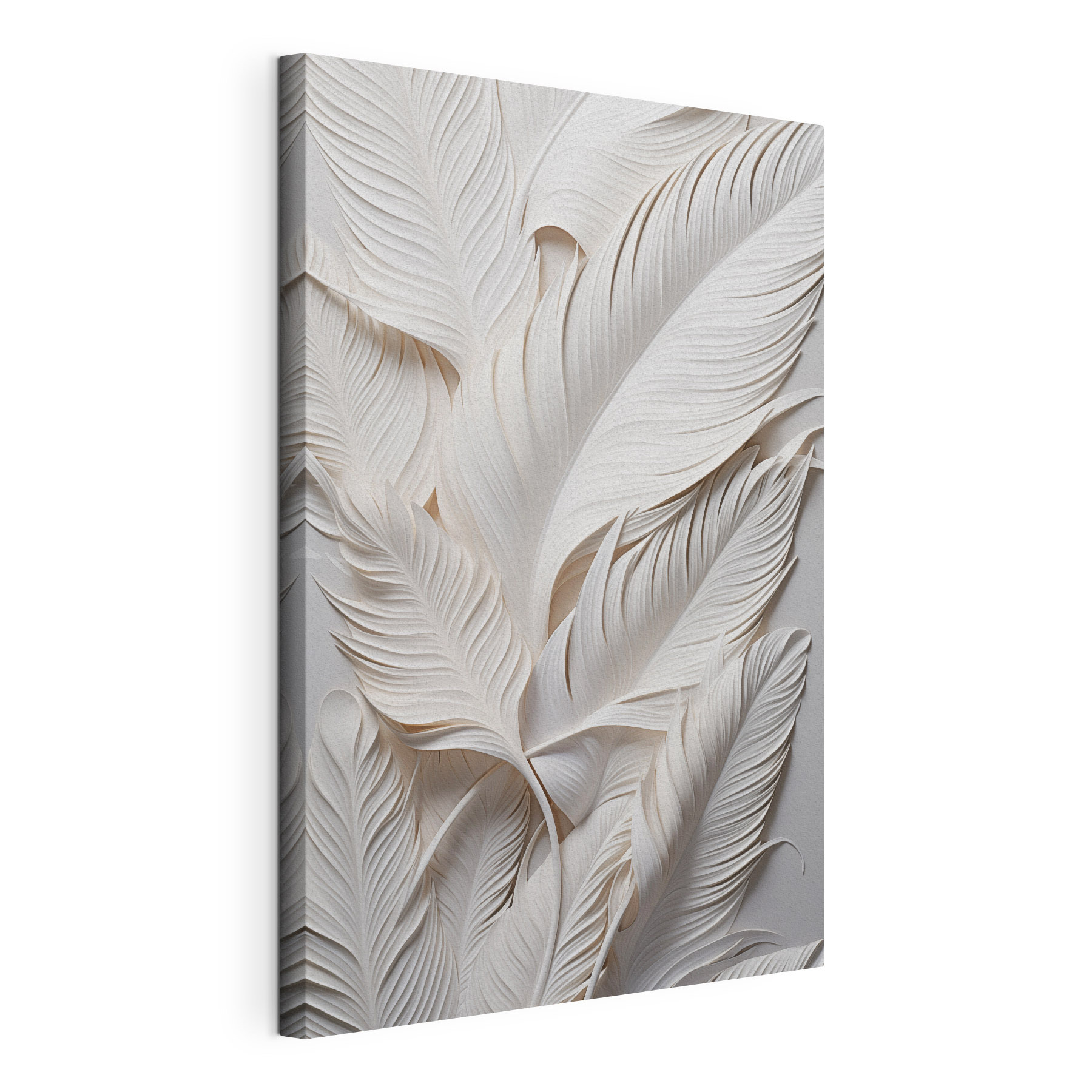 White feathers on a white surface
