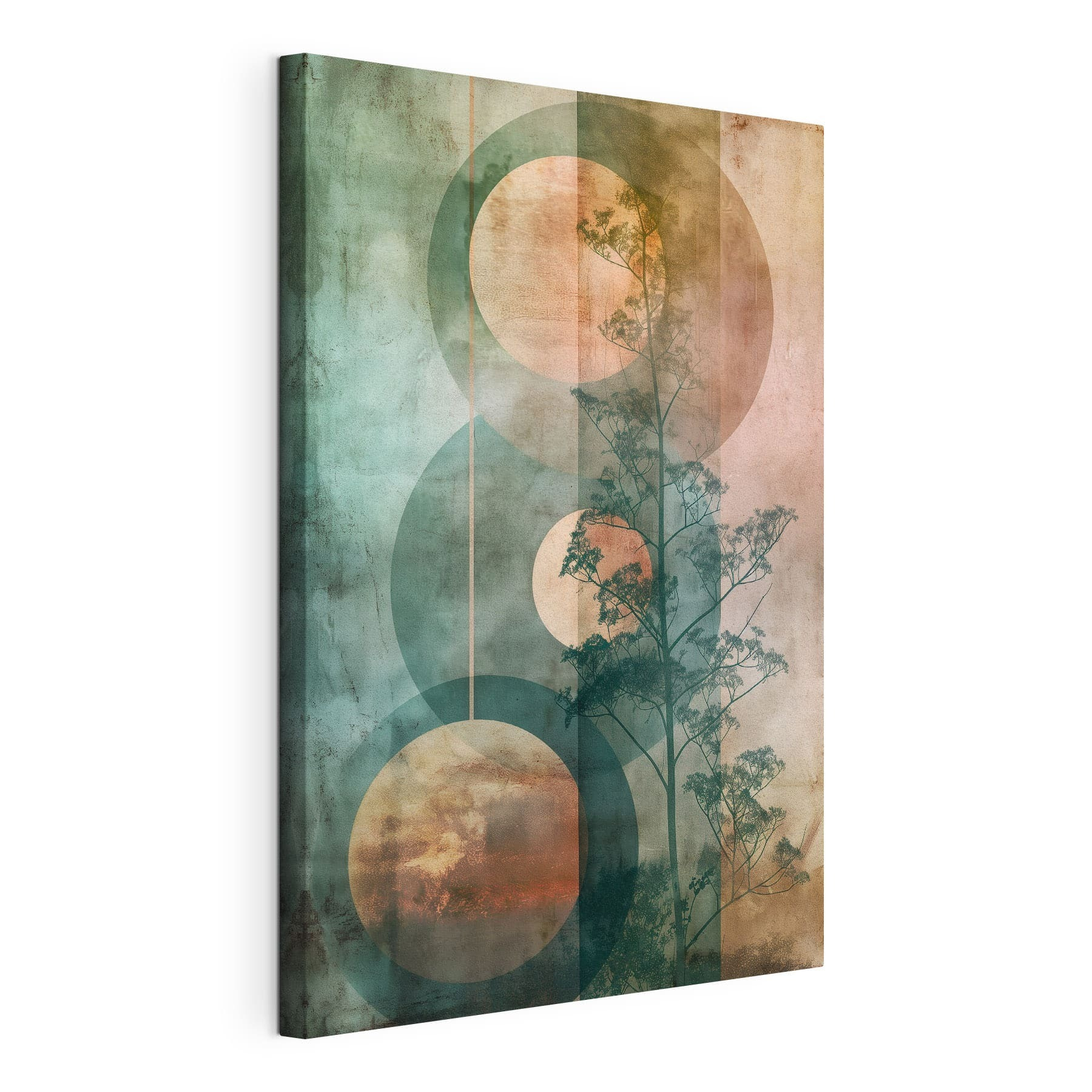 Tree and circles on a wall