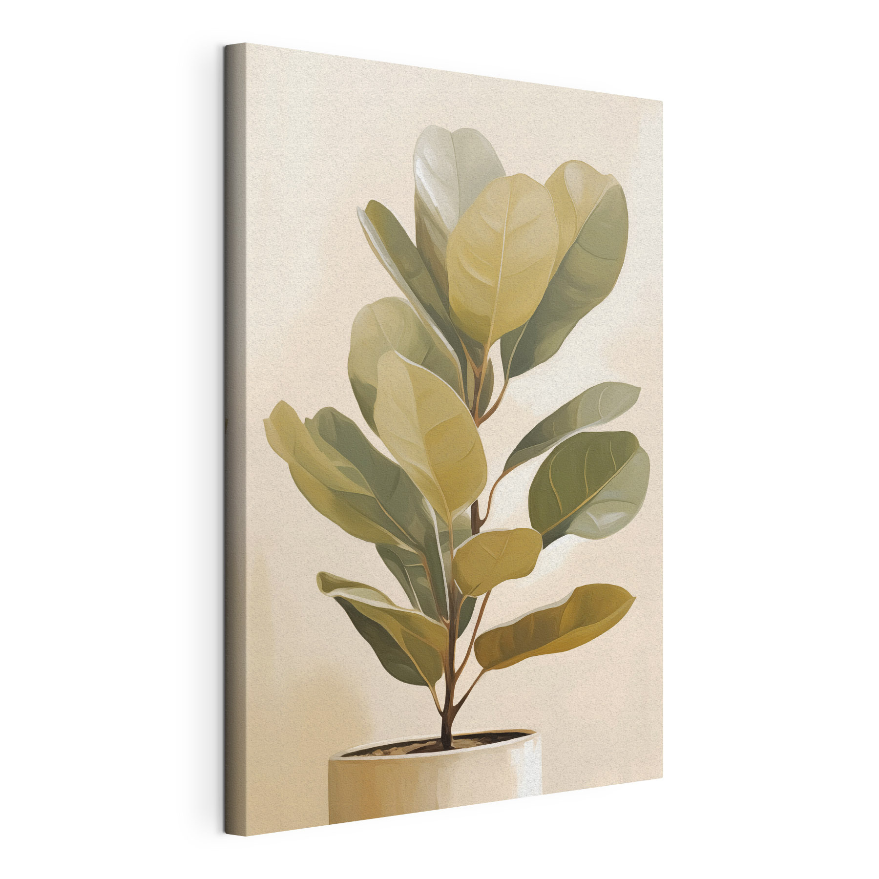 Fresh green leaves in a planter