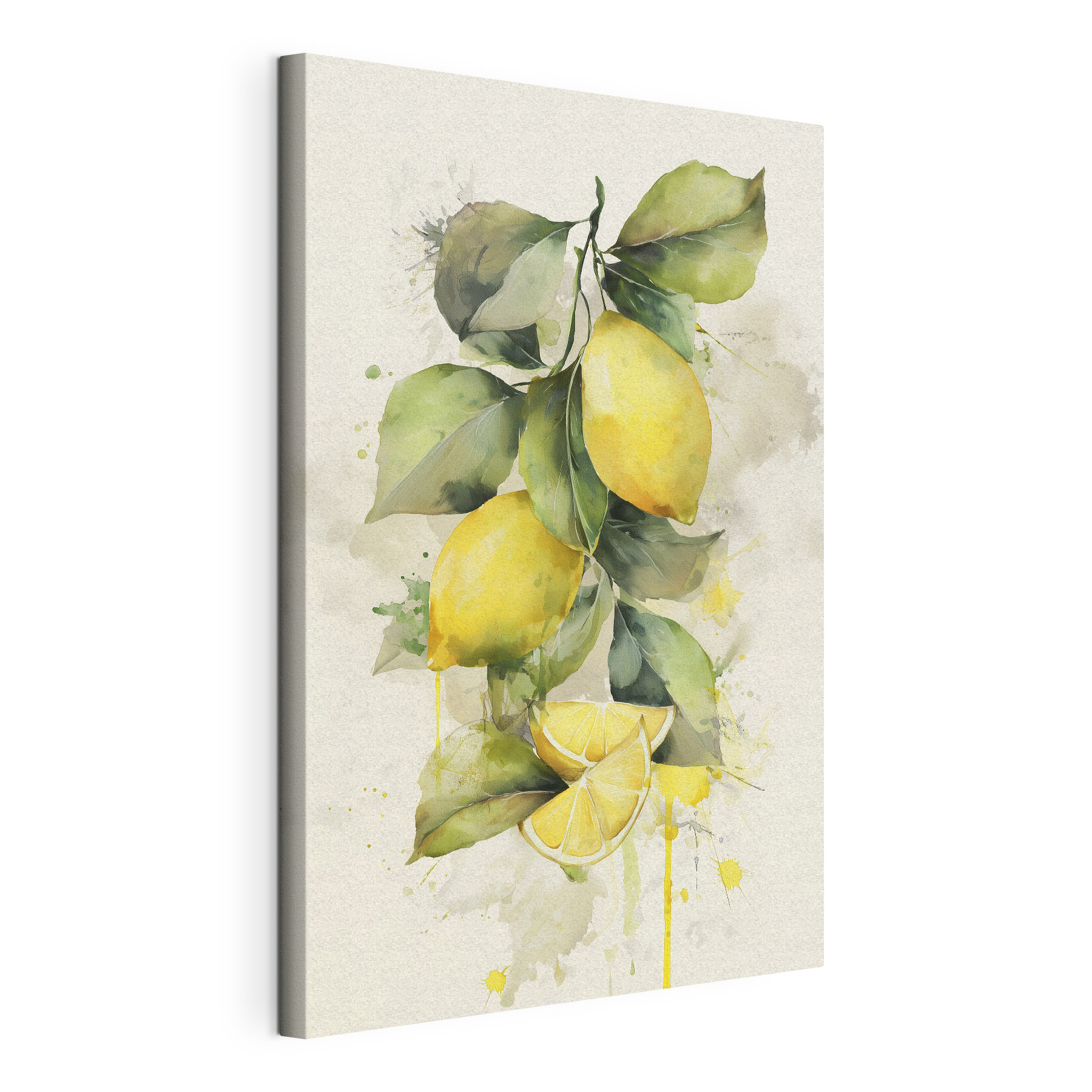 Acquerello raffigurante limoni e foglie Acquerello raffigurante limoni e foglie